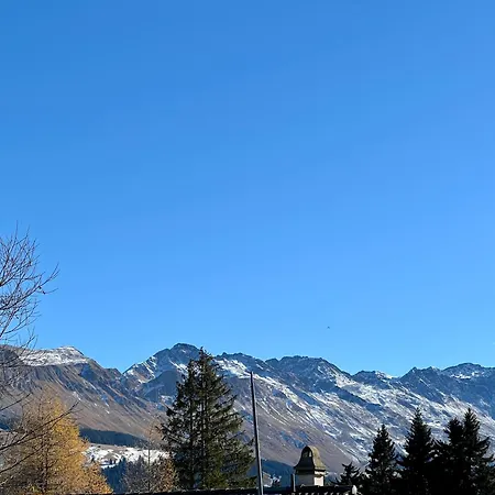 Auf 1600 Meter Hoehe - Naehe Lenzerheide