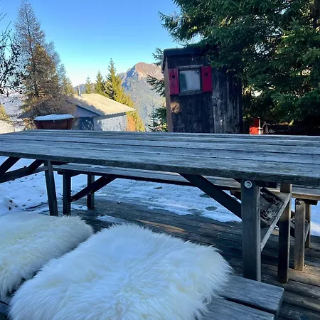 Auf 1600 Meter Hoehe - Naehe Lenzerheide *