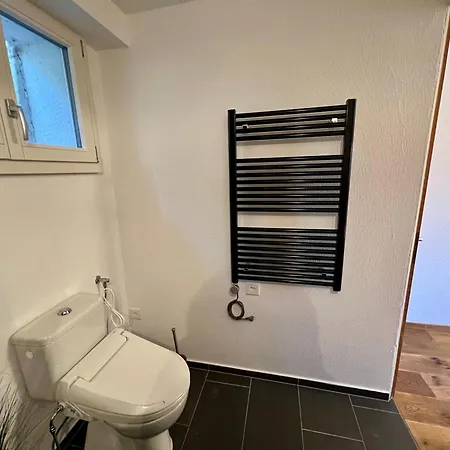 Apartment Auf 1600 Meter Hoehe - Naehe Lenzerheide