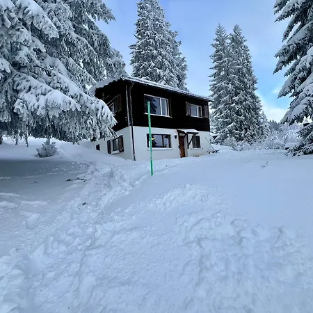 Auf 1600 Meter Hoehe - Naehe Lenzerheide * Malix